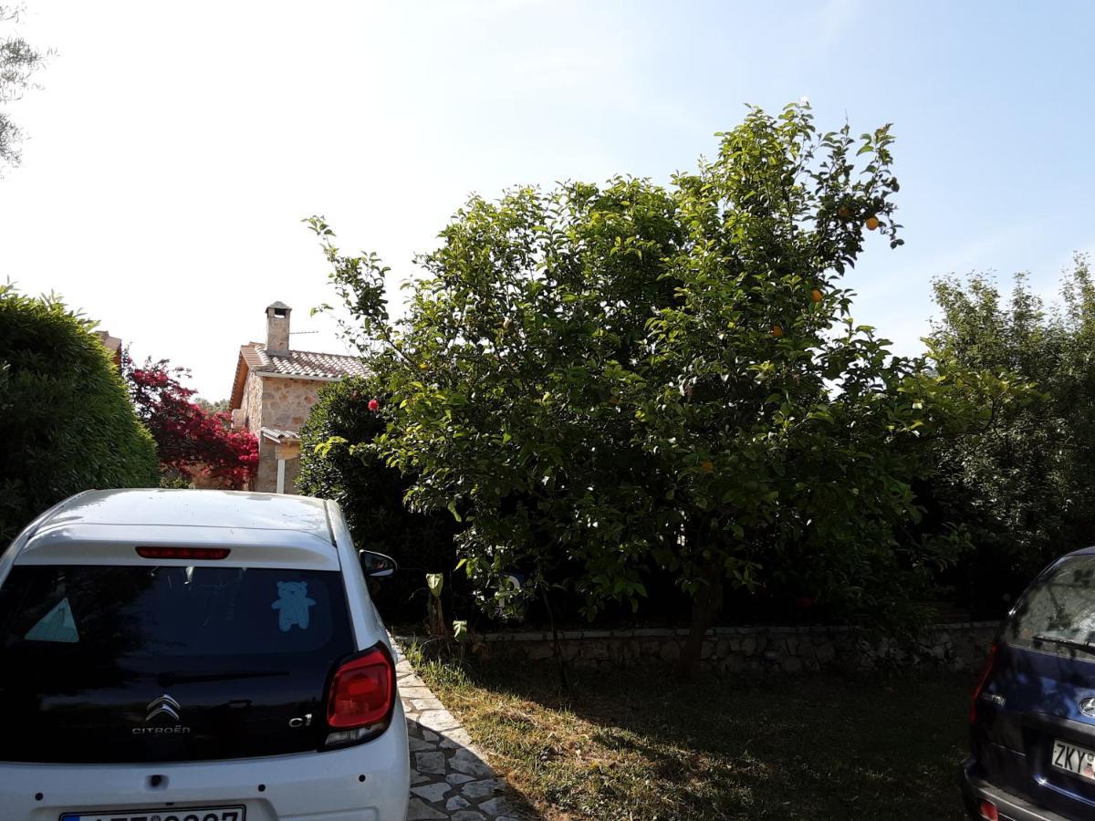 Dioni Villa Сивота Экстерьер фото